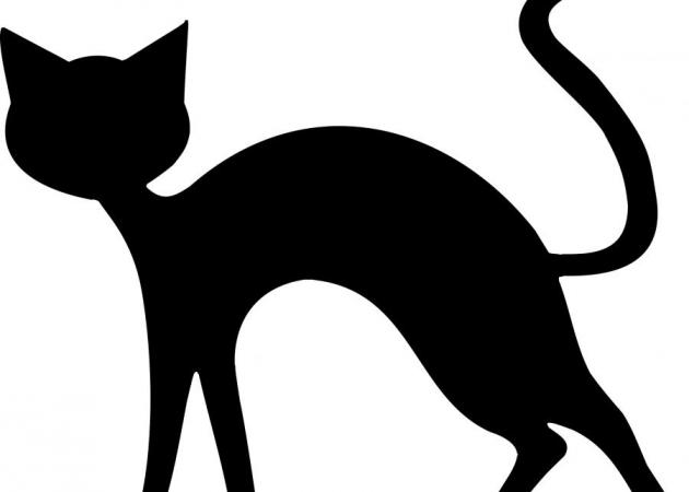 “Η τελευταία μαύρη γάτα” του Τριβιζά στο Θέατρο Χορν