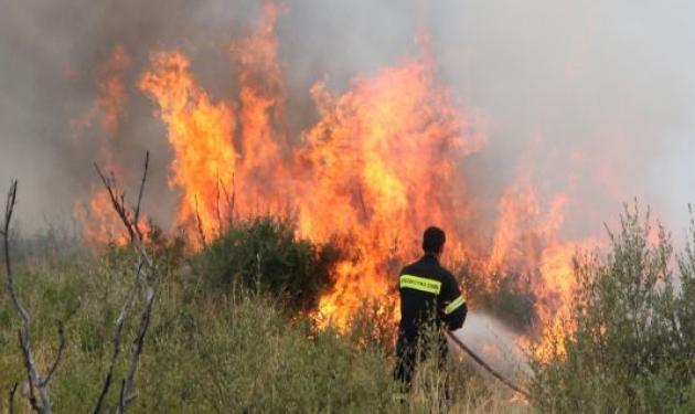 Πυρκαγιές σε εξέλιξη σε Φωκίδα και Κοζάνη