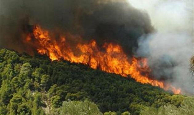 Πυρκαγιά στον Κουβαρά Αττικής-Πιθανή εκκένωση της κατασκήνωσης της Κερατέας