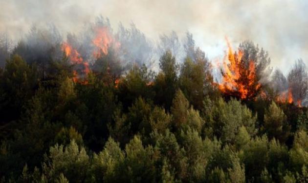 Εμπρηστές κατακαίνε την Κέρκυρα! – Απειλείται οικισμός!