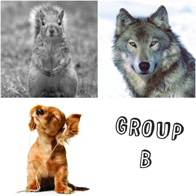 3 | Το Group B