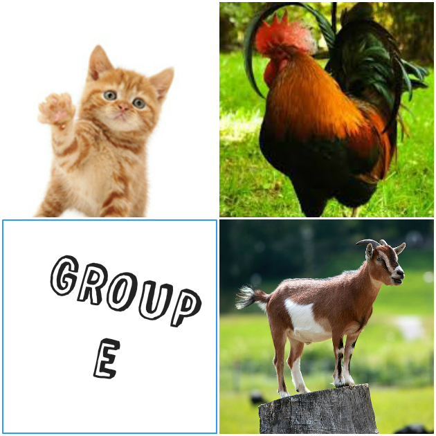 6 | To Group E