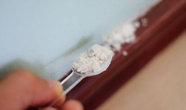 Έτσι θα απαλλαγείς από τις κατσαρίδες στο σπίτι – 7 φυσικοί τρόποι χωρίς επικίνδυνα χημικά