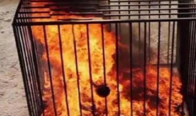 Σοκαριστικό! Έκαψαν ζωντανό τον Ιορδανό αιχμάλωτο