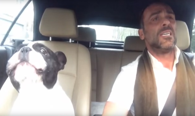 Εκπληκτικό βίντεο! Γαλλικό bulldog τραγουδάει μαζί με το αφεντικό του το “like diamonds in the sky”!