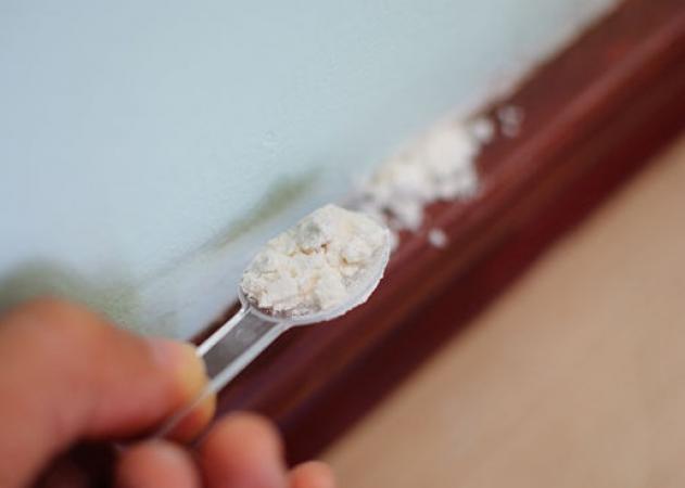 Κατσαρίδες στο σπίτι: 7 απλοί και φυσικοί τρόποι για να εξαφανιστούν