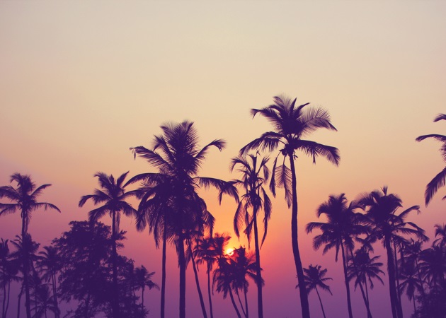 Θέλεις να ταξιδεύεις, να ψωνίζεις, να καλοπερνάς; Τα “μαγικά κεράσια” θα πραγματοποιήσουν τις επιθυμίες σου!