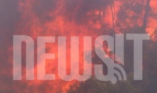 Πυρκαγιά στην Κερατέα – Καίγονται σπίτια ενώ κινδυνεύουν δεκάδες άλλα