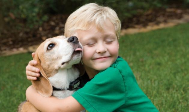 Προσοχή! Τεχνητή γλυκαντική ουσία μπορεί να σκοτώσει τον σκύλο σου