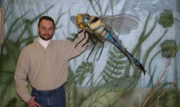 Προϊστορικά έντομα σε μέγεθος…γερακιού