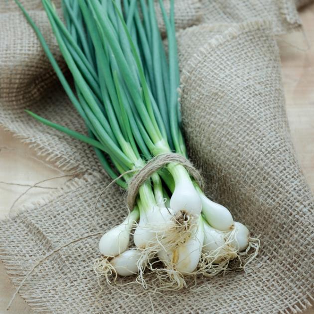 Πώς θα διατηρήσεις τα κρεμμυδάκια σου φρέσκα;