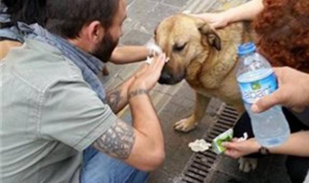 Ο Τούρκος Λουκάνικος και οι φίλοι του!