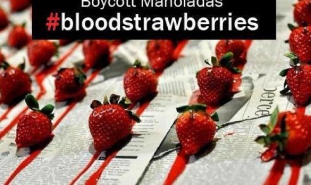 Με αφίσες καλούν σε μποϋκοτάζ στις φράουλες Μανωλάδας