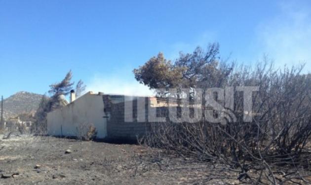 Μαυρισμένο τοπίο και καμμένα σπίτια άφησε η φωτιά στο Μαραθώνα