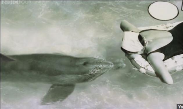 Η εξομολόγηση της γυναίκας που είχε σεξουαλική επαφή με δελφίνι