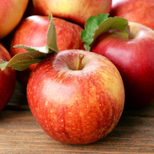 Πώς θα κρατήσεις τα μήλα σου φρέσκα περισσότερο καιρό;