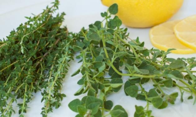 Ελληνικό μυρωδικό βότανο προστατεύει από υπέρταση και καρκίνο – Δες ποιο είναι