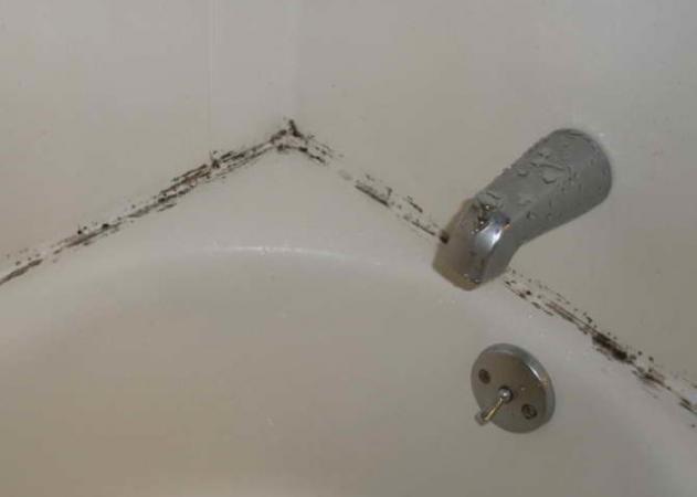 Μούχλα στο μπάνιο: Το κόλπο για να την βγάλεις από κάθε δύσκολο σημείο