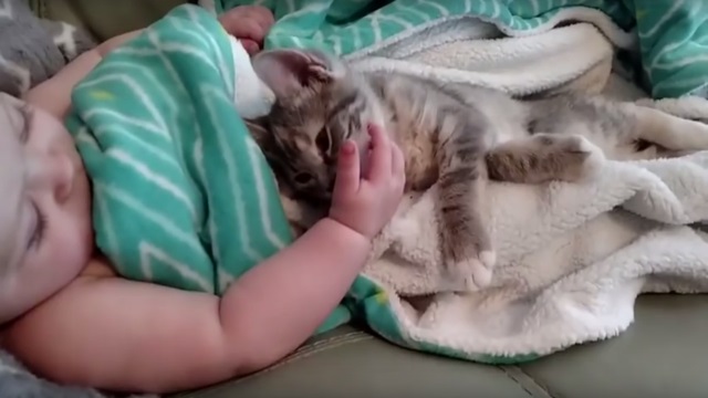 Βίντεο για να λιώσεις! Το μωρό και το γατί που ξυπνούν μαζί!