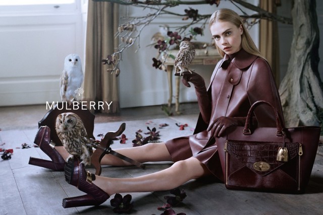 15 | Mulberry