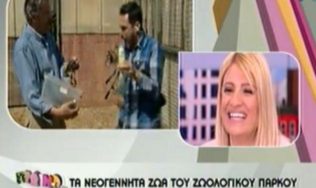 X. Nέζος: Του επιτέθηκε φίδι στον αέρα της εκπομπής