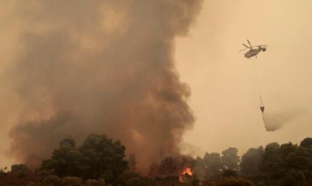 Βιβλική η καταστροφή σε Ουρανούπολη-Αρκαδία -Ενισχύονται οι άνεμοι – 49 Σέρβοι πυροσβέστες ήρθαν να βοηθήσουν για να σβήσει η φωτιά