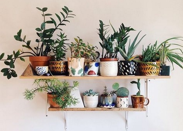 Διακόσμηση: Αυτά είναι τα φυτά εσωτερικού χώρου που θα σε βοηθήσουν να χαλαρώσεις