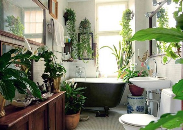 Ποια είναι η νέα τάση στο μπάνιο που θα σε ενθουσιάσει; Αρχίζει από φυ- και τελειώνει σε -τα!