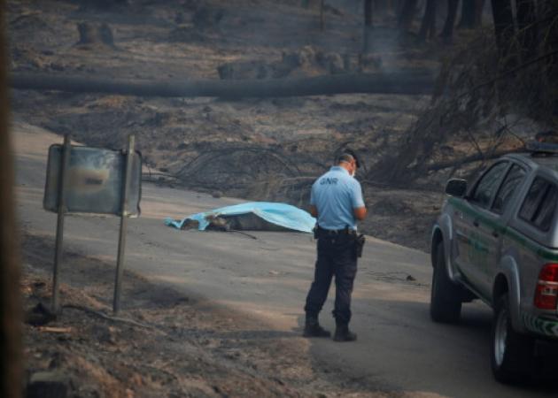 Πορτογαλία – Φωτιά: Φρίκη! 57 οι νεκροί στο δάσος της Κόλασης! Σοκαριστικές εικόνες