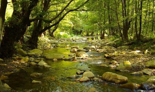 Τρίκαλα: Μητέρα αυτοκτόνησε μαζί με τον 10χρονο γιο της. Έπεσε στο ποτάμι