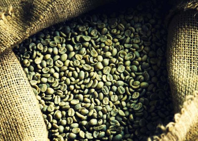 Πράσινος Καφές: Οι κάψουλες που αδυνατίζουν! 6 λόγoι να τον εντάξεις στην καθημερινότητα σου