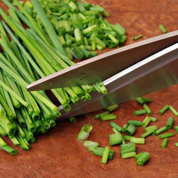 5 λόγοι να προτιμήσεις το ψαλίδι κουζίνας από το μαχαίρι!