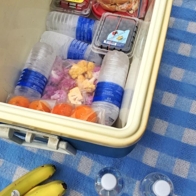 Εσύ πώς κρατάς το φορητό ψυγειάκι παγωμένο;