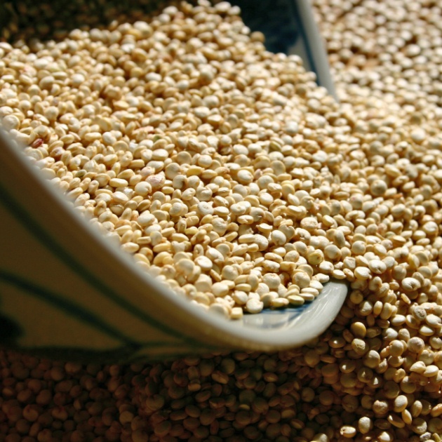 Τι είναι το κινόα (quinoa); Νέο και πεντανόστιμο υλικό για την κουζίνα σου…
