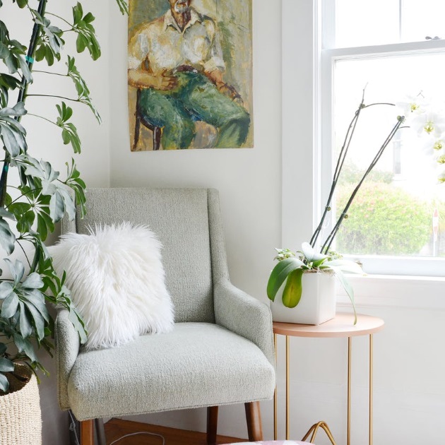 Comforting Afternoons