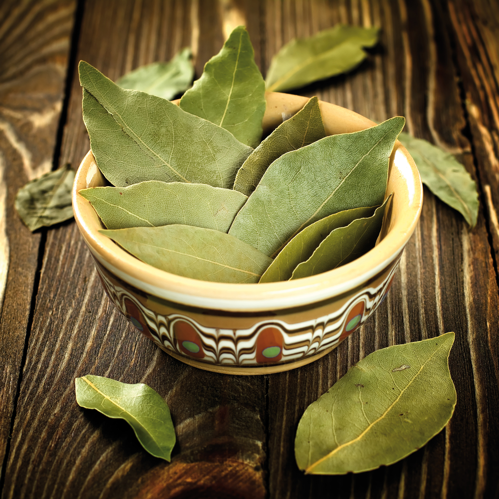 Κράτα τα έντομα μακριά!