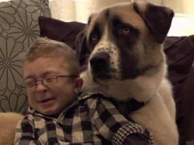 O σκύλος που βοηθάει παιδί με ειδικές ανάγκες