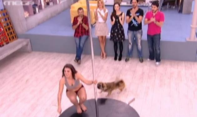 Ο σκύλος όρμησε στη χορεύτρια του pole dancing στο Πρωινό mou!