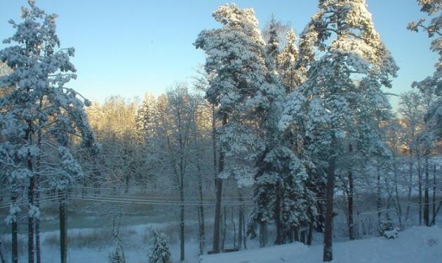 Κάτασπρη η Πάρνηθα – Χιονίζει ελαφρά στην Πεντέλη – Χιονόνερο στα βόρεια προάστια