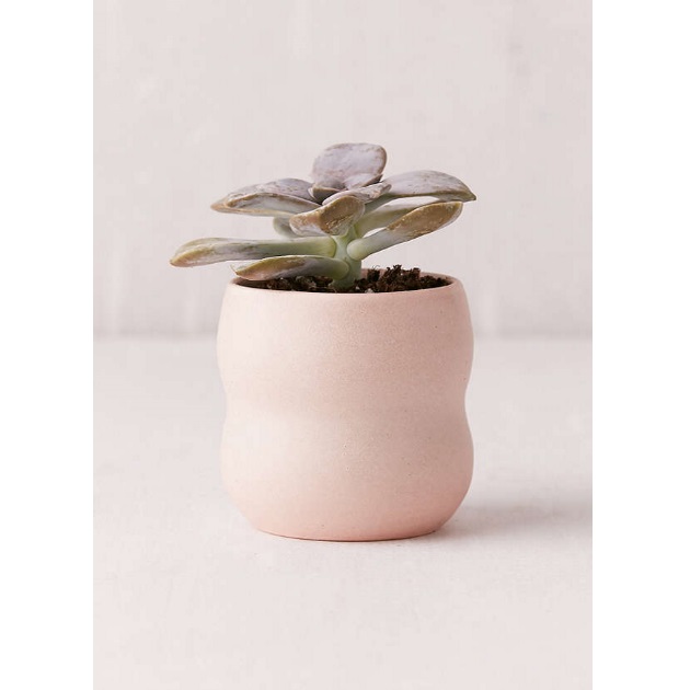 8 | Γλάστρα Urban Outfitters