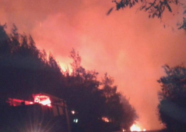 Φωτιά στη Θάσο: Ολονύχτια “μάχη” με τις φλόγες! Απειλούνται οικισμοί