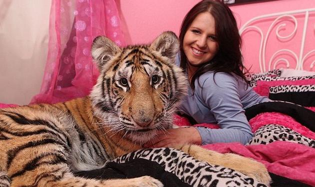 H Felicia κοιμάται με τον…τίγρη της!