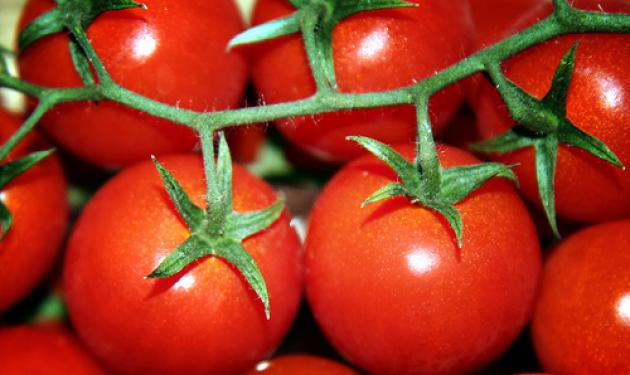 Έσπασαν το DNA της ντομάτας – Είναι φρούτο και όχι λαχανικό