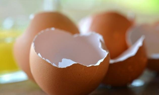 Πετάς τα τσόφλια από τα αυγά; Μόλις διαβάσεις αυτό δεν θα το ξανακάνεις