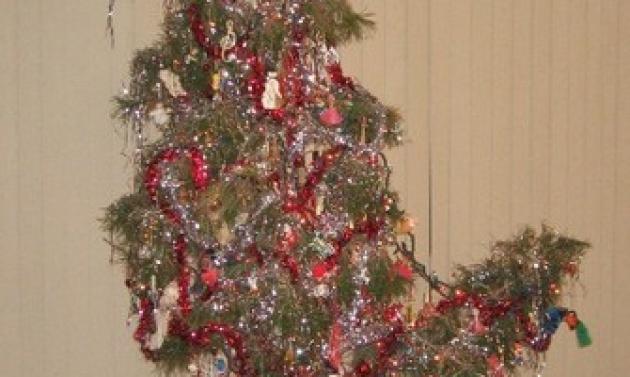 Τα χειρότερα Χριστουγεννιάτικα δέντρα του κόσμου!