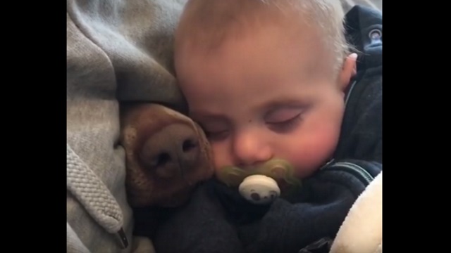 Γιατί τα παιδιά πρέπει να μεγαλώνουν με ένα κατοικίδιο!