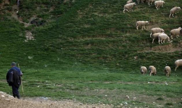 Σέρρες: Βοσκός βρήκε πτώμα γυναίκας!