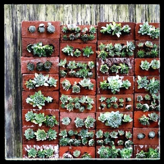 4 | Σωτήρης Βρεττός