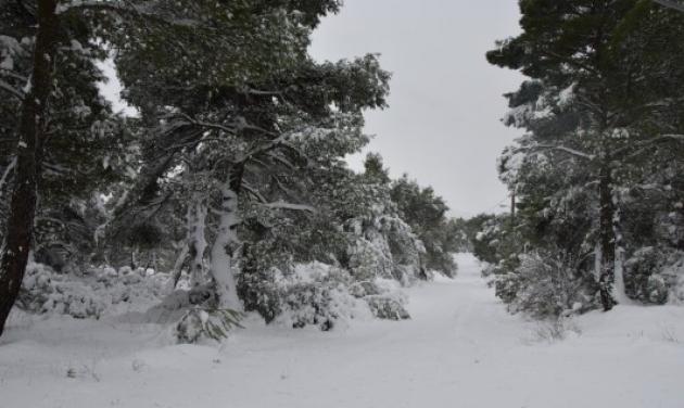 Παγετός σε όλη τη χώρα! Τι καιρό θα κάνει το Σαββατοκύριακο