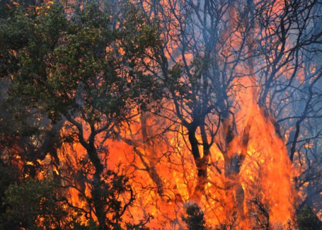 Χίος: Μεγάλη φωτιά στα Ψαρά – Δεν επαρκούν οι δυνάμεις της πυροσβεστικής που επιχειρούν στο σημείο!